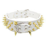 Maxbell Sharp Studded Rivet PU Leather Dog Pet Puppy Collar 2" Large XS Gold and White