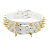 Maxbell Sharp Studded Rivet PU Leather Dog Pet Puppy Collar 2" Large XS Gold and White