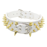 Maxbell Sharp Studded Rivet PU Leather Dog Pet Puppy Collar 2" Large XS Gold and White