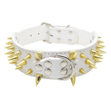 Maxbell Sharp Studded Rivet PU Leather Dog Pet Puppy Collar 2" Large XS Gold and White