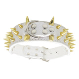 Maxbell Sharp Studded Rivet PU Leather Dog Pet Puppy Collar 2" Large XS Gold and White