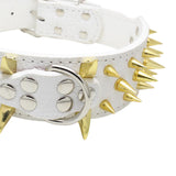 Maxbell Sharp Studded Rivet PU Leather Dog Pet Puppy Collar 2" Large XS Gold and White