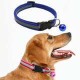 Maxbell 1Pcs Dog Cat Luminous Collar Necklace Night Dog Cat Safety Glow Pet Supplies Royalblue