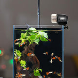 Maxbell Automatic Fish Feeder Smart Aquarium Turtle Timed Feeding 12/24 Hours Once