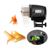 Maxbell Automatic Fish Feeder Smart Aquarium Turtle Timed Feeding 12/24 Hours Once