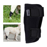 Maxbell Dog Leg Brace Support Auxiliary Strap Joint Wrap Sprains Injury Recover XL