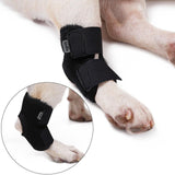 Maxbell Dog Leg Brace Support Auxiliary Strap Joint Wrap Sprains Injury Recover S