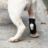 Maxbell Dog Leg Brace Support Auxiliary Strap Joint Wrap Sprains Injury Recover S