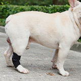 Maxbell Dog Leg Brace Support Auxiliary Strap Joint Wrap Sprains Injury Recover M