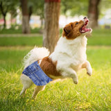 Maxbell Reusable Male Dog Belly Band Diapers Underpants Sanitary Pants for Doggy L