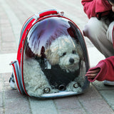 Maxbell Expandable Cat Carrier Clear Bubble Backpack for Sightseeing Outdoor Red