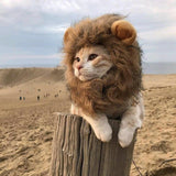 Maxbell Funny Cute Costume Lion Mane Wig for Fancy Dress up Dogs Christmas Party M