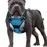 Maxbell Safety Dog Vest Harness Adjustable Reflective for Pet Puppy Cat Blue L