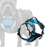 Maxbell Safety Dog Vest Harness Adjustable Reflective for Pet Puppy Cat Blue L