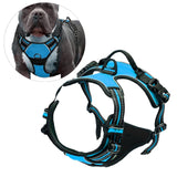 Maxbell Safety Dog Vest Harness Adjustable Reflective for Pet Puppy Cat Blue L