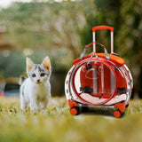 Maxbell Pet Carrier Outing Backpack Trolley Case for Travel Puppy Cat Bag Bubble Box Orange