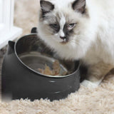 Maxbell Cat Dog Bowl Raised Tilted Elevated Non Slip Pet Container for Dog Cat Black