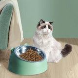 Maxbell Cat Dog Bowl Raised Tilted Elevated Non Slip Pet Container for Dog Cat Green
