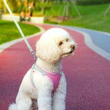 Maxbell Dog Harness with Leash Set for Small Medium Large Dogs Outdoor Night Walking