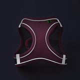 Maxbell Dog Harness with Leash Set for Small Medium Large Dogs Outdoor Night Walking