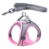Maxbell Dog Harness with Leash Set for Small Medium Large Dogs Outdoor Night Walking