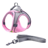 Maxbell Dog Harness with Leash Set for Small Medium Large Dogs Outdoor Night Walking