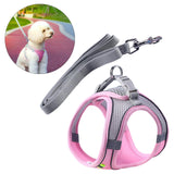 Maxbell Dog Harness with Leash Set for Small Medium Large Dogs Outdoor Night Walking
