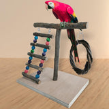 Maxbell Bird Play Stand Toy Parrot Playground Climbing Ladder Exercise Wooden Perch Style A 32x29x26cm