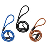 Maxbell Slip Lead Dog Leash Traction Rope Dog Supplies for Walking Training Blue