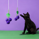 Maxbell Chew Cat Toy Scratching Interactive Cat Toys Cat Toys Ball Grape 20cmx10cm