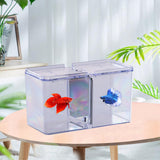 Maxbell Fish Breeding Box Tank Hatchery Incubator Aquarium Isolation Box Fry Breeder