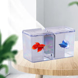 Maxbell Fish Breeding Box Tank Hatchery Incubator Aquarium Isolation Box Fry Breeder