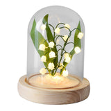 Maxbell Flowers Night Light Handmade DIY Battery Operated Dome Birthday Gift