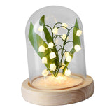 Maxbell Flowers Night Light Handmade DIY Battery Operated Dome Birthday Gift