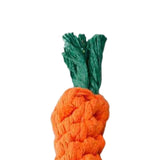 Maxbell Durable Dog Chew Toy Interactive for Aggressive Chewers Teeth Cleaning Carrot 22cmx3cm