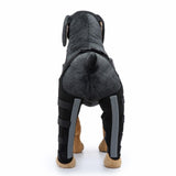 Maxbell Dogs Hind Legs Knee Brace Adjustable Legs Protector for Dogs Accessories HJ25 Medium