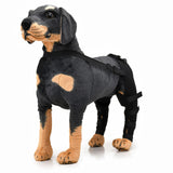 Maxbell Dogs Hind Legs Knee Brace Adjustable Legs Protector for Dogs Accessories HJ25 Large