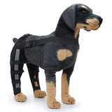 Maxbell Dogs Hind Legs Knee Brace Adjustable Legs Protector for Dogs Accessories HJ40 Small