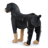 Maxbell Dogs Hind Legs Knee Brace Adjustable Legs Protector for Dogs Accessories HJ40 Medium