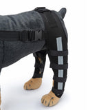 Maxbell Dogs Hind Legs Knee Brace Adjustable Legs Protector for Dogs Accessories HJ40 Medium