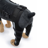 Maxbell Dogs Hind Legs Knee Brace Adjustable Legs Protector for Dogs Accessories HJ40 Medium