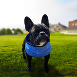 Maxbell Dog Cooling Bandana Ice Scarf Summer Neck Wrap Reusable Hiking Round Dot