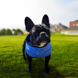 Maxbell Dog Cooling Bandana Ice Scarf Summer Neck Wrap Reusable Hiking Round Dot