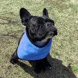 Maxbell Dog Cooling Bandana Ice Scarf Summer Neck Wrap Reusable Hiking Round Dot