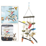 Maxbell Creative Wooden Bite Toy Biting for Small Animals Cockatiel Guinea Pigs