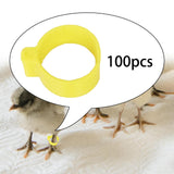 Maxbell 100x Reusable Pigeon Leg Foot Rings Clip On Bird Dove Duck Bands Yellow
