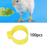 Maxbell 100x Reusable Pigeon Leg Foot Rings Clip On Bird Dove Duck Bands Yellow