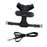 Maxbell Cat Puppy Harness and Leash Set Easily Control Padded Mesh Vest S Black