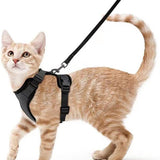Maxbell Cat Puppy Harness and Leash Set Easily Control Padded Mesh Vest S Black
