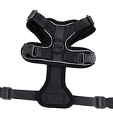 Maxbell Cat Puppy Harness and Leash Set Easily Control Padded Mesh Vest S Black